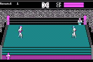 Tag Team Wrestling 1