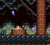 download tails adventure gameplay download tails adventure gameplay