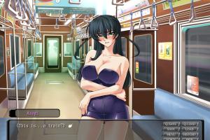 Taimanin Asagi Premium Box 5