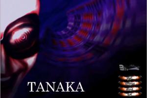 Tanaka 3D 0