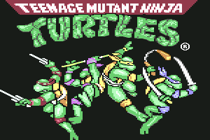 Teenage Mutant Ninja Turtles 9