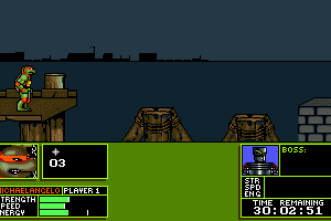 Teenage Mutant Ninja Turtles: Manhattan Missions 10
