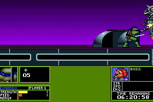 Teenage Mutant Ninja Turtles: Manhattan Missions 12