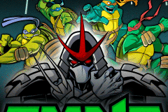 Teenage Mutant Ninja Turtles: The Shredder Reborn 0