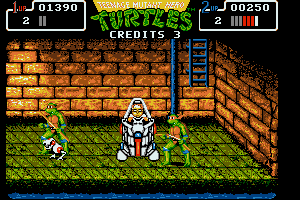 Teenage Mutant Ninja Turtles 9