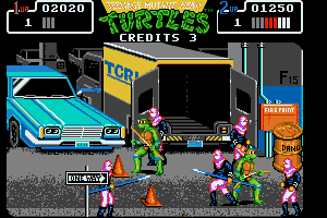 Teenage Mutant Ninja Turtles 11