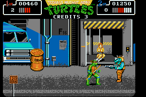 Teenage Mutant Ninja Turtles 12