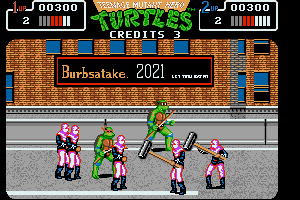 Teenage Mutant Ninja Turtles 15