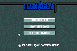 Teen Agent 3