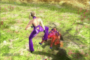 Tekken: Dark Resurrection 19