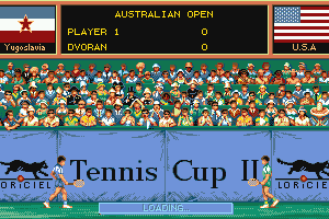 Tennis Cup 2 abandonware