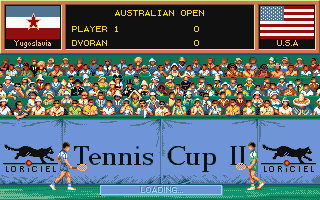 Tennis Cup 2 abandonware