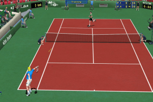 Tennis Elbow 2011 abandonware