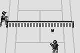 Tennis Pro '92 abandonware