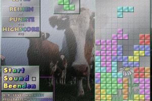 Tetris: 21 Spiele 10