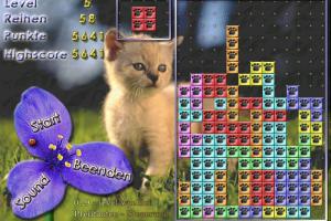 Tetris: 21 Spiele 16
