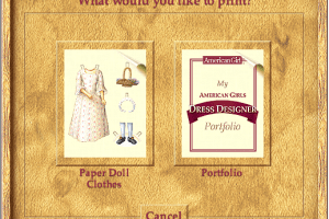 The American Girls: Dress Designer 5
