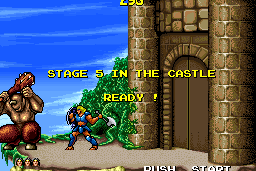 The Astyanax 24