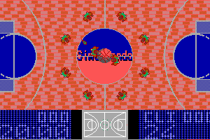 The Basket Manager 12