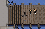 The Birds: Evil has Wings 2