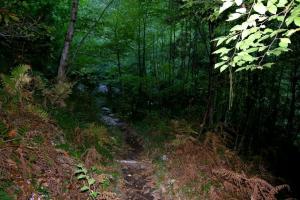 The Capri Connection 14