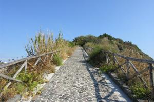 The Capri Connection 15