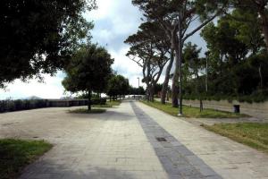 The Capri Connection 7