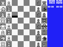 The Chessmaster 2000 abandonware