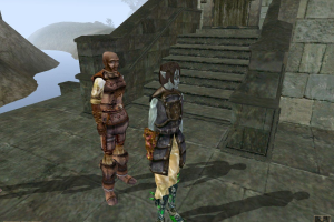 The Elder Scrolls III: Morrowind 19