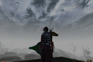 The Elder Scrolls III: Morrowind 20