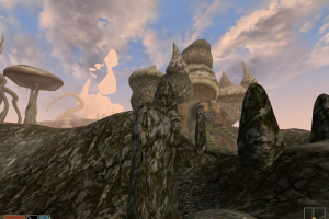 The Elder Scrolls III: Morrowind 22