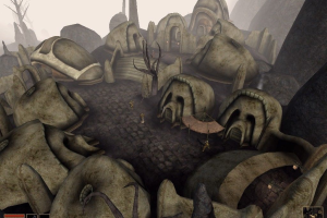 The Elder Scrolls III: Morrowind 29