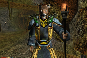The Elder Scrolls III: Morrowind 36