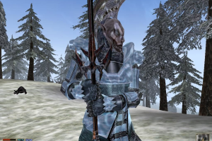 The Elder Scrolls III: Morrowind 42