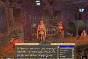 The Elder Scrolls III: Morrowind 5