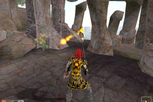 The Elder Scrolls III: Morrowind 8