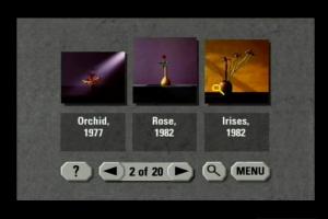 The Flowers of Robert Mapplethorpe 5