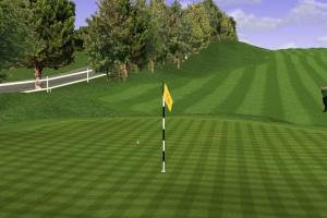 The Golf Pro 10