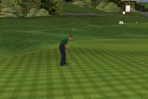 The Golf Pro 11