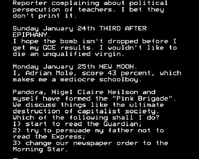The Growing Pains of Adrian Mole abandonware