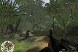 The Hell in Vietnam 9