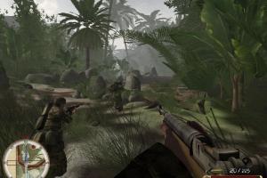 The Hell in Vietnam 11
