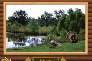 The Hunting Game 5