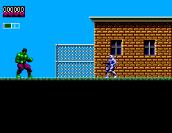 The Incredible Hulk abandonware