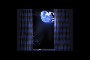 The Indian in the Cupboard 0