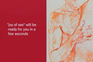 The Joy of Sex 0