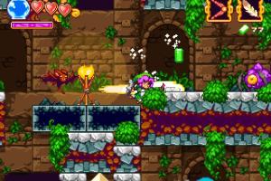 The Legend of Princess 10