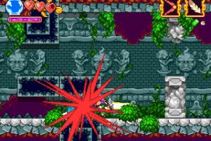 The Legend of Princess 4