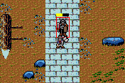 The Lord of the Rings: The Two Towers 9