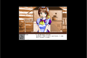 The Maid's Story 3